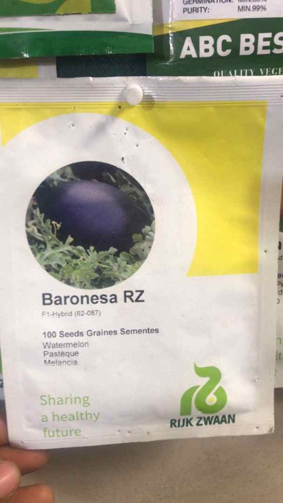 Baronesa RZ F1 Watermelon (Rijk Zwaan | 100 seeds)
