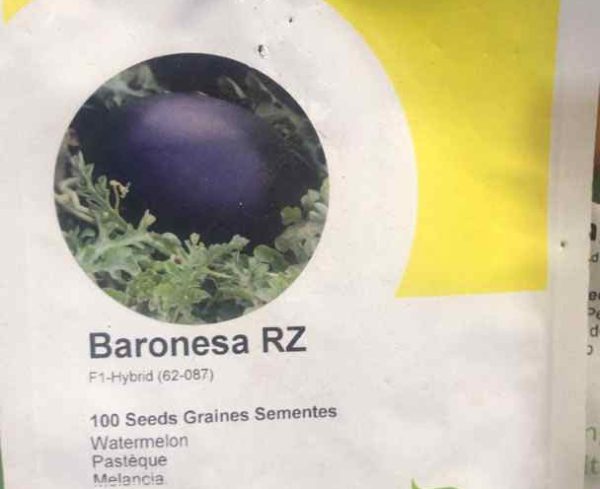 Baronesa RZ F1 Watermelon (Rijk Zwaan | 100 seeds)