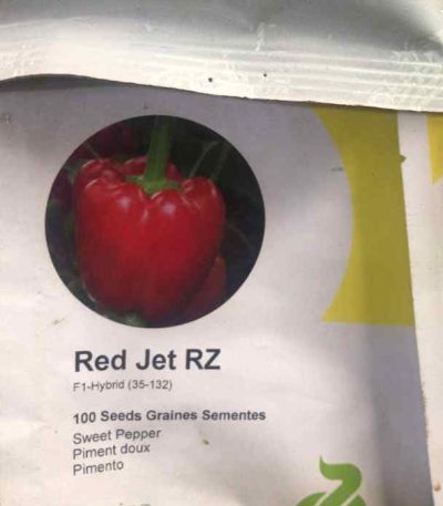 Red Jet Pepper Seeds F1 (35-132 | 240g)