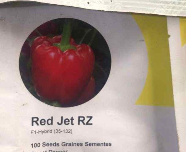 Red Jet Pepper Seeds F1 (35-132 | 240g)