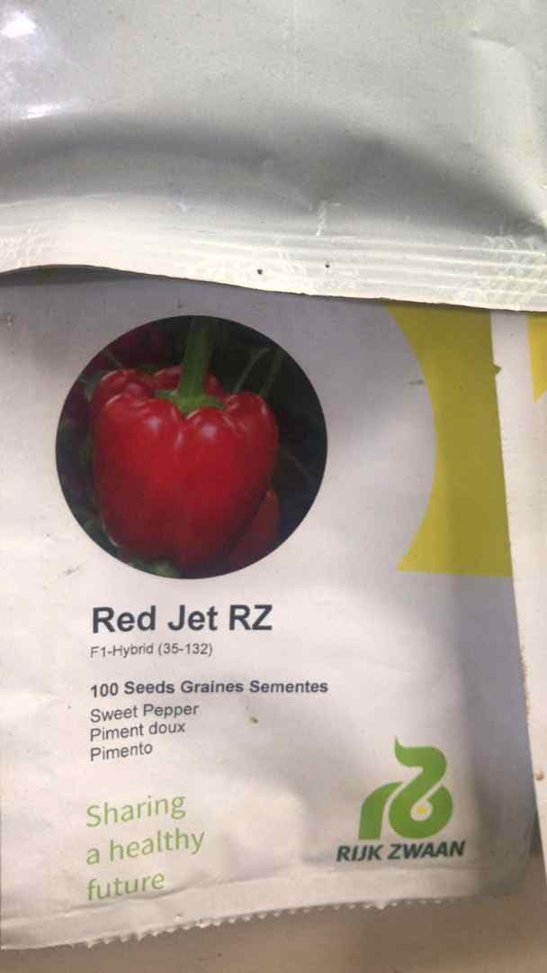 Red Jet Pepper Seeds F1 (35-132 | 240g)
