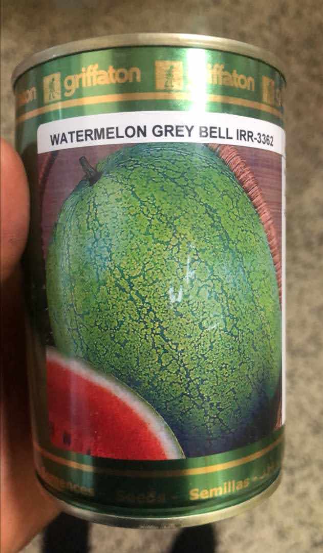 Grey Belle Watermelon (Conventional seeds)