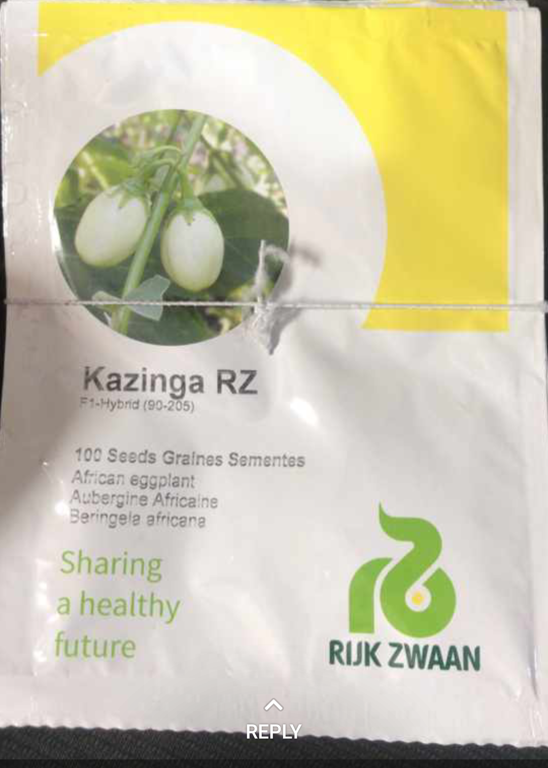 Kazinga RZ F1 (90 – 205 | 1000 seeds)