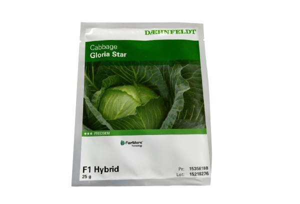 Gloria Star F1 Cabbage Seeds (Syngenta | 25g)