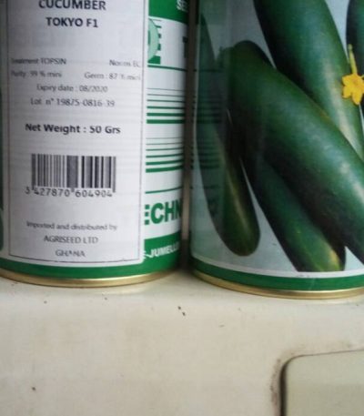 Tokyo F1 Cucumber (Technisem seeds)