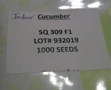 cucumber avenue seeds SQ 309 F1