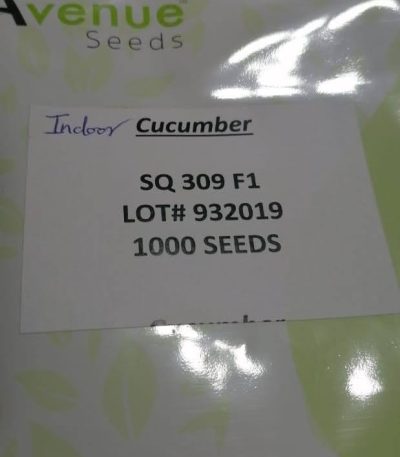 cucumber avenue seeds SQ 309 F1