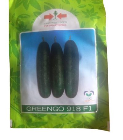Greengo 918 F1 Hybrid Cucumber Seeds (East-West Seeds Brand)