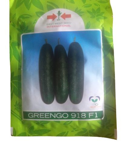 Greengo 918 F1 Hybrid Cucumber Seeds (East-West Seeds Brand)