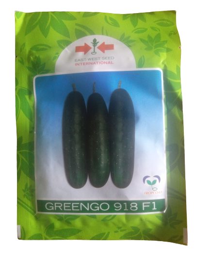Greengo 918 F1 Hybrid Cucumber Seeds (East-West Seeds Brand)