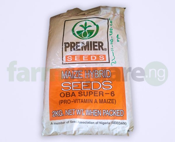 Oba Super 6 Maize Hybrid