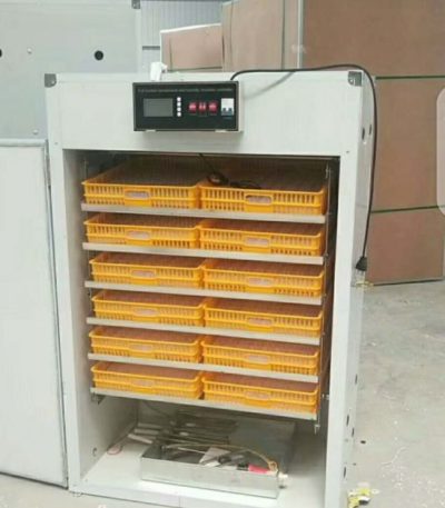 Industrial Egg incubator (1056 eggs)