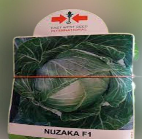Nuzaka Cabbage Seeds