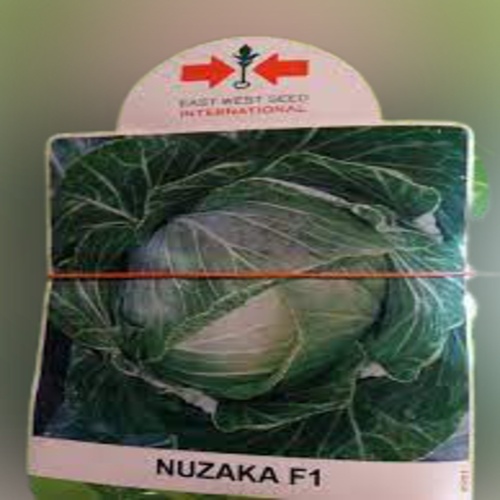 Nuzaka Cabbage Seeds