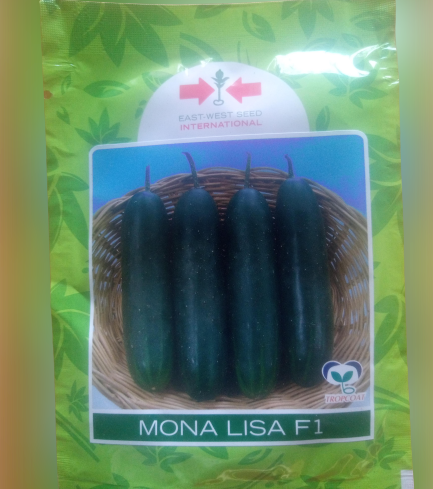 Monalisa F1 Cucumber
