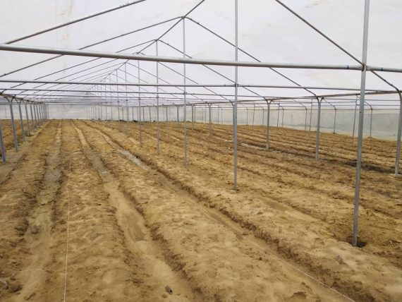 Greenhouse structure