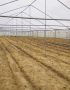 Greenhouse structure