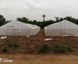Greenhouse structure 10m×25m