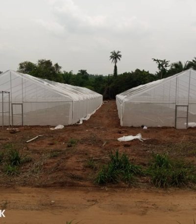 Greenhouse structure 10m×25m