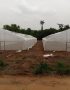 Greenhouse structure 10m×25m