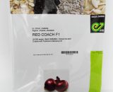 Onion Red Coach F1 Seeds