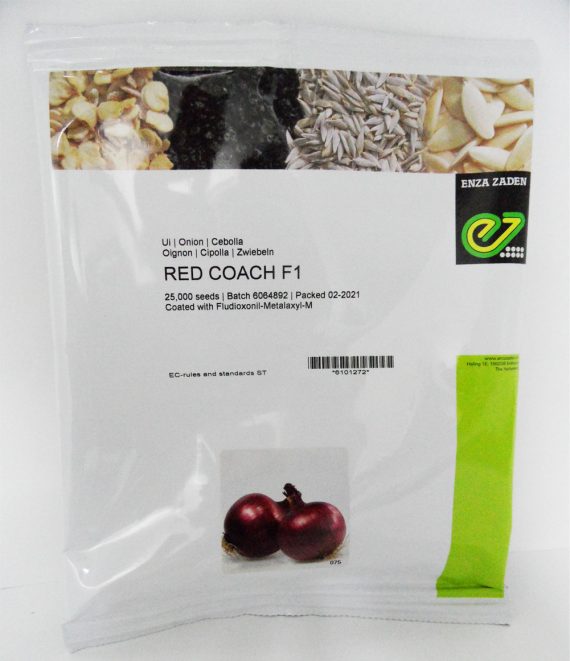 Onion Red Coach F1 Seeds