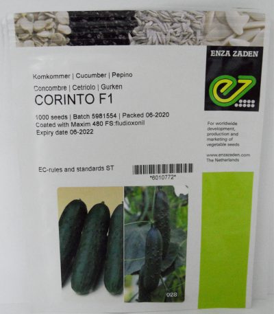 Cucumber Corinto F1 Seeds
