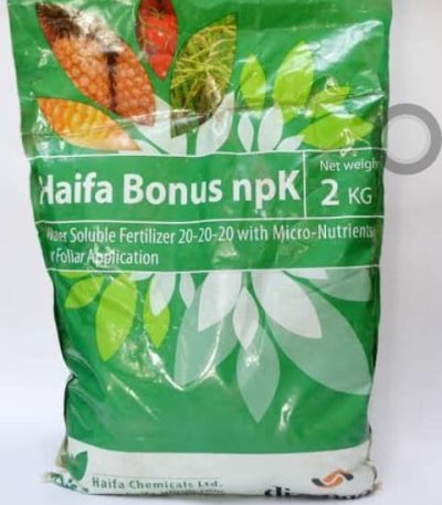Haifa Bonus 20:20:20