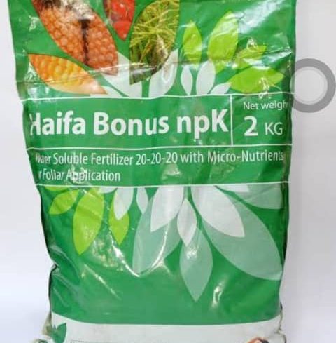 Haifa Bonus 20:20:20