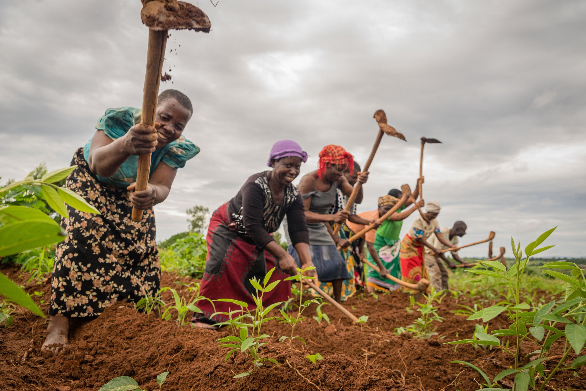Women Farmers Will Benefit From The AfDB’s $150 Million Fund