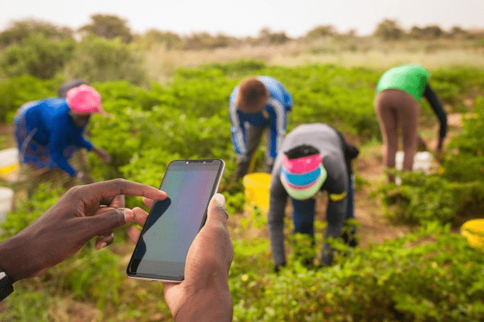 Digital Farming Overcoming Nigeria's Growing Food Insecurity