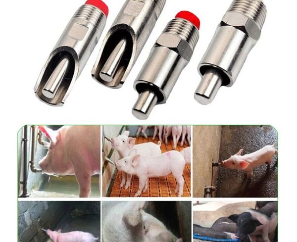 Nipple Drinker For Pigs