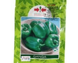 Ganga Green Pepper Seeds
