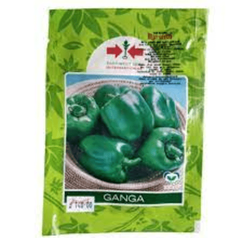 Ganga Green Pepper Seeds