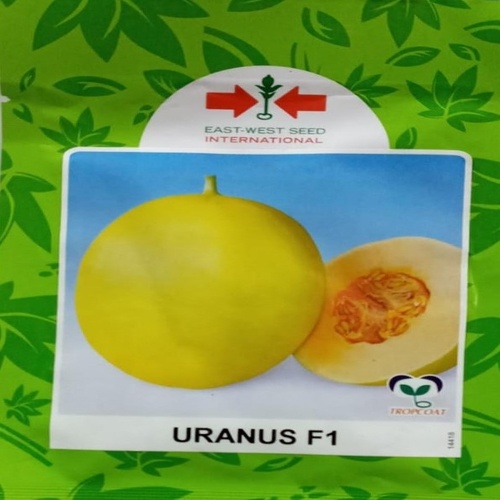 Uranus F1 Sweetmelon Seeds