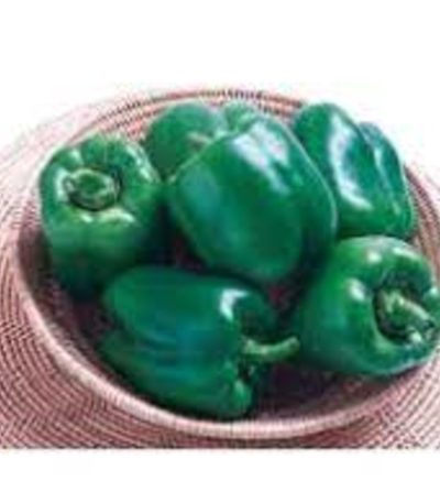 Ganga Green Pepper Seeds