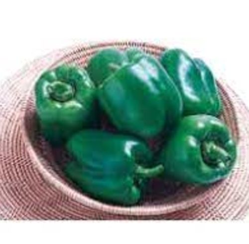 Ganga Green Pepper Seeds
