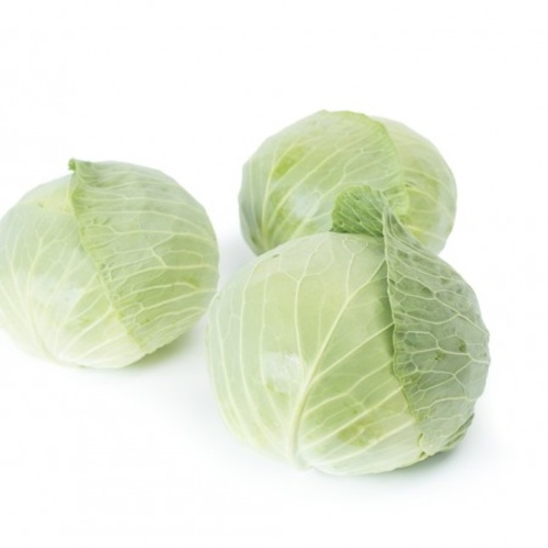 Tacoma RZ White Cabbage