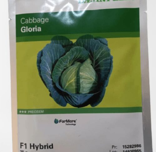 Gloria star Cabbage Seeds