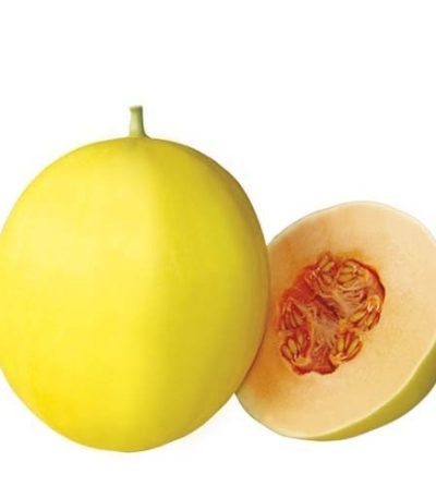 Uranus F1 Sweetmelon Seeds