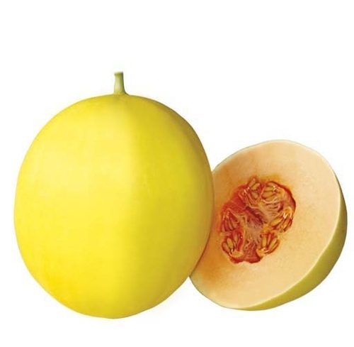 Uranus F1 Sweetmelon Seeds