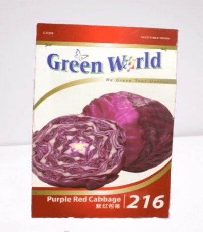 Purple red cabbage