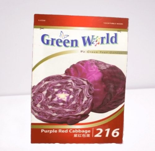 Purple red cabbage
