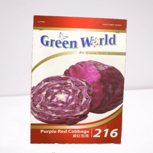 Purple red cabbage