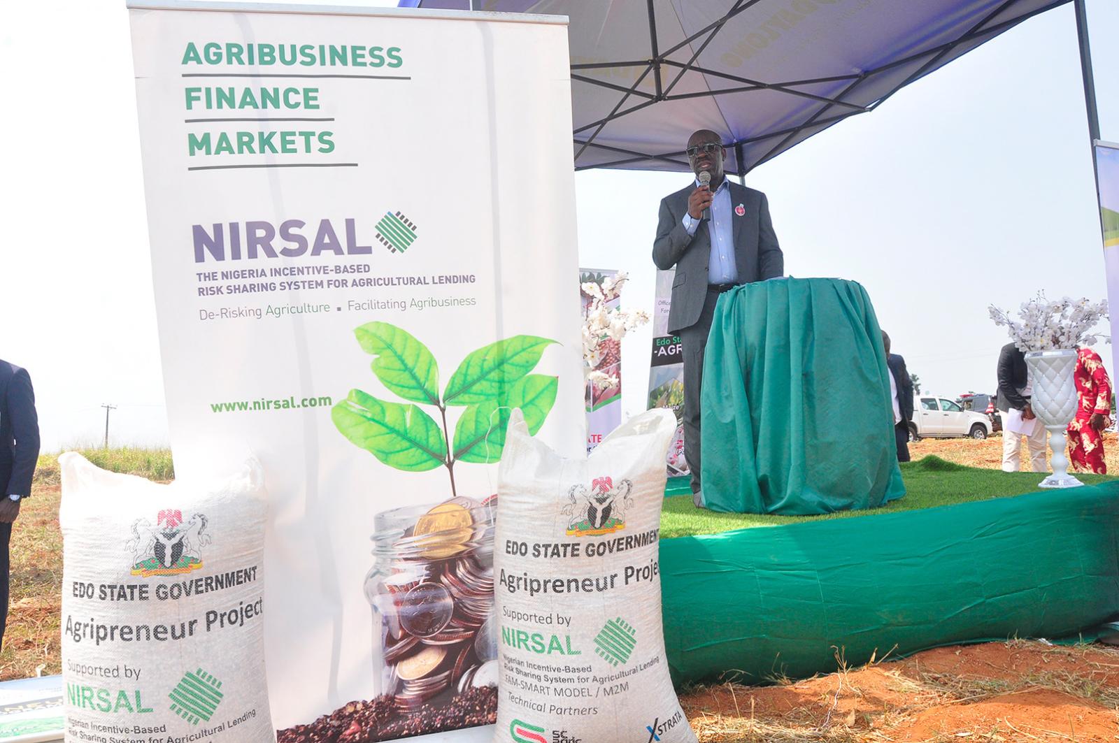 NIRSAL Provides Risk Security For 800 Agribusinesses