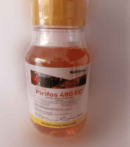 Pirifos 480EC