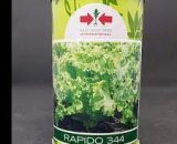 Rapido 344 Lettuce seeds/50g/ East West seeds