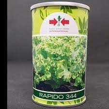 Rapido 344 Lettuce seeds/50g/ East West seeds