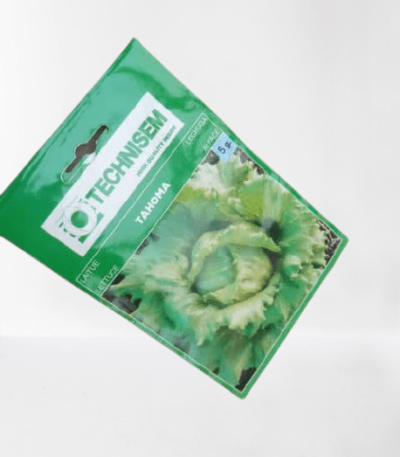 Tahoma Lettuce Seeds