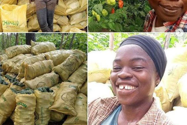 Why I Put Aside My Degree For Farming - Bose Suberu